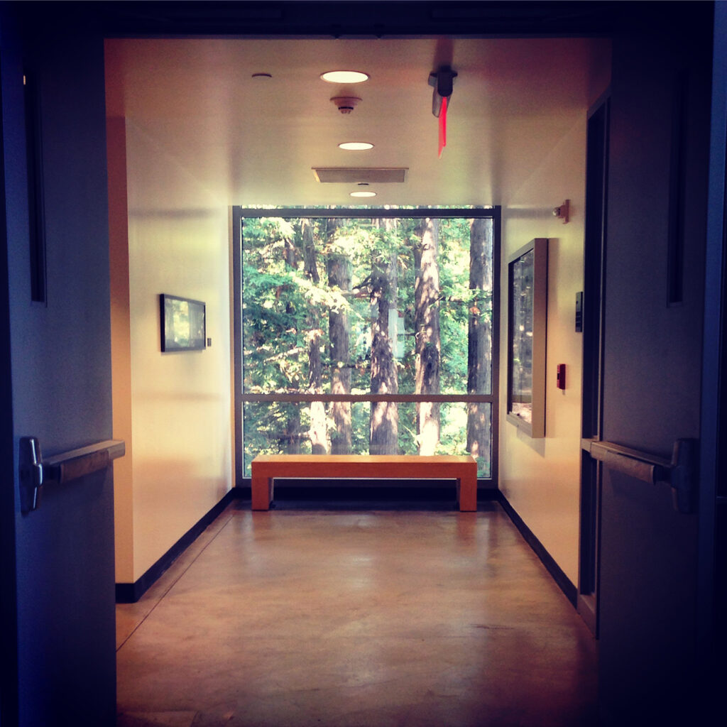 humanities hallway